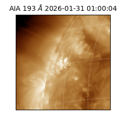 saia - 2026-01-31T01:00:04.846000