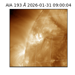 saia - 2026-01-31T09:00:04.843000