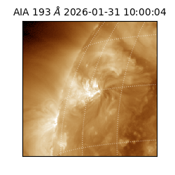 saia - 2026-01-31T10:00:04.843000