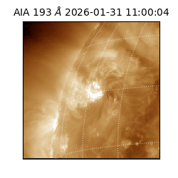 saia - 2026-01-31T11:00:04.843000