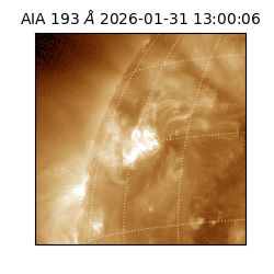 saia - 2026-01-31T13:00:06.937000