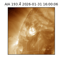 saia - 2026-01-31T16:00:06.936000