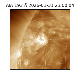 saia - 2026-01-31T23:00:04.843000