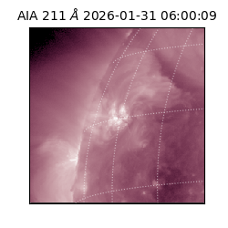 saia - 2026-01-31T06:00:09.633000