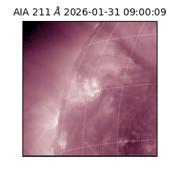 saia - 2026-01-31T09:00:09.626000