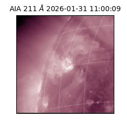 saia - 2026-01-31T11:00:09.626000