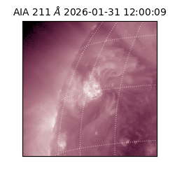 saia - 2026-01-31T12:00:09.626000