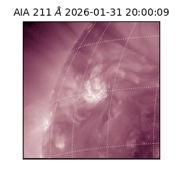 saia - 2026-01-31T20:00:09.626000