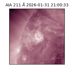 saia - 2026-01-31T21:00:33.629000