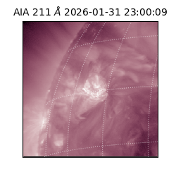 saia - 2026-01-31T23:00:09.630000