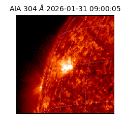 saia - 2026-01-31T09:00:05.133000