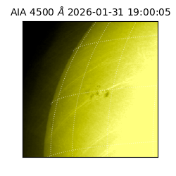 saia - 2026-01-31T19:00:05.962000