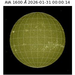 saia - 2026-01-31T00:00:14.126000