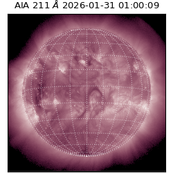 saia - 2026-01-31T01:00:09.629000