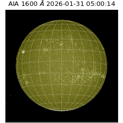 saia - 2026-01-31T05:00:14.126000