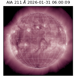 saia - 2026-01-31T06:00:09.633000