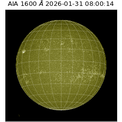 saia - 2026-01-31T08:00:14.126000