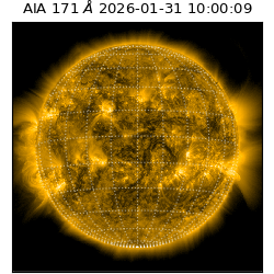 saia - 2026-01-31T10:00:09.350000
