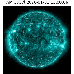 saia - 2026-01-31T11:00:06.622000