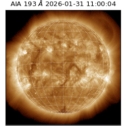 saia - 2026-01-31T11:00:04.843000