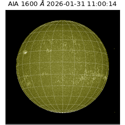 saia - 2026-01-31T11:00:14.126000