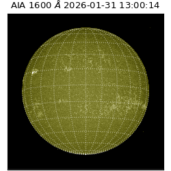 saia - 2026-01-31T13:00:14.126000