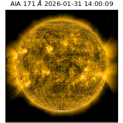 saia - 2026-01-31T14:00:09.350000