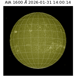 saia - 2026-01-31T14:00:14.126000