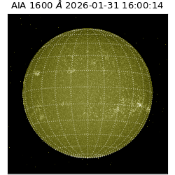 saia - 2026-01-31T16:00:14.125000