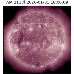 saia - 2026-01-31T18:00:09.623000
