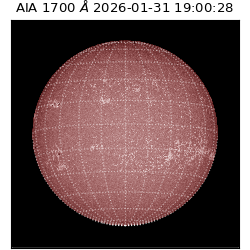 saia - 2026-01-31T19:00:28.710000