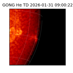 gong - 2026-01-31T09:00:22