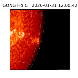 gong - 2026-01-31T12:00:42