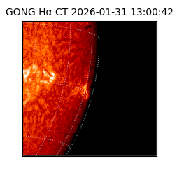 gong - 2026-01-31T13:00:42