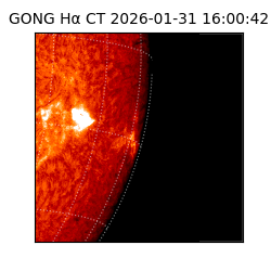 gong - 2026-01-31T16:00:42
