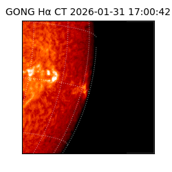 gong - 2026-01-31T17:00:42