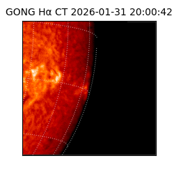 gong - 2026-01-31T20:00:42