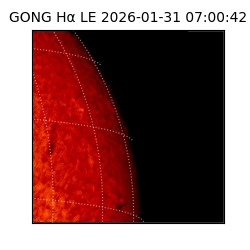 gong - 2026-01-31T07:00:42
