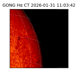 gong - 2026-01-31T11:03:42