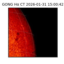 gong - 2026-01-31T15:00:42