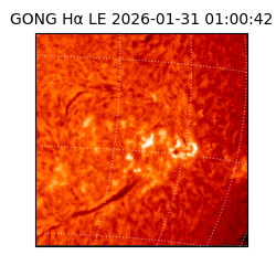 gong - 2026-01-31T01:00:42