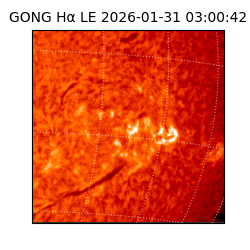 gong - 2026-01-31T03:00:42