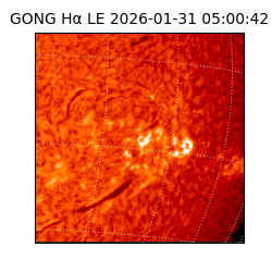 gong - 2026-01-31T05:00:42