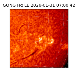 gong - 2026-01-31T07:00:42