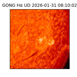 gong - 2026-01-31T08:10:02