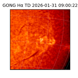 gong - 2026-01-31T09:00:22