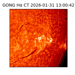 gong - 2026-01-31T13:00:42