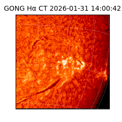gong - 2026-01-31T14:00:42