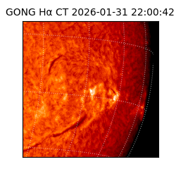 gong - 2026-01-31T22:00:42