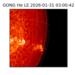 gong - 2026-01-31T03:00:42